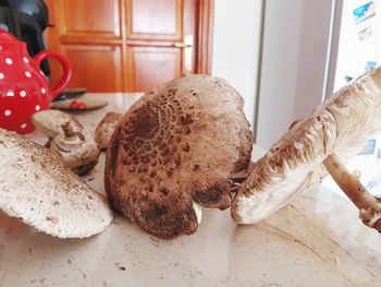 High angle view of mushrooms on table at home