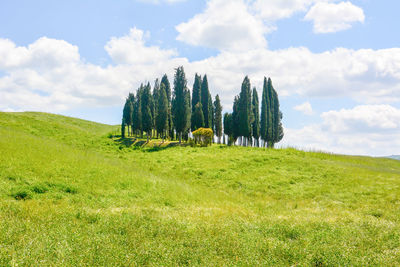 Scenic view of landscape against cloudy sky