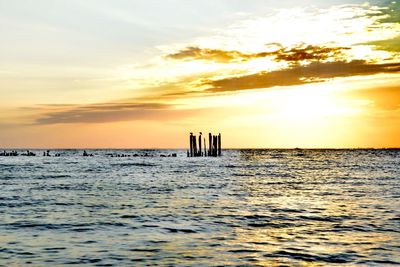 Silhouette wooden posts in sea against sky during sunset
