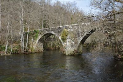 Bridge over water in park