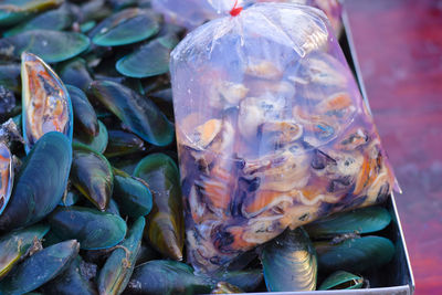 Fresh mussels are sold in the market.