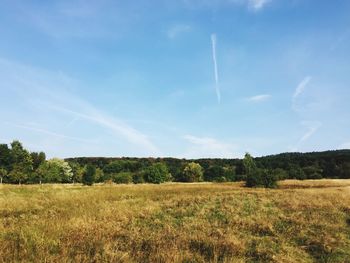 Scenic view of grassy field against sky