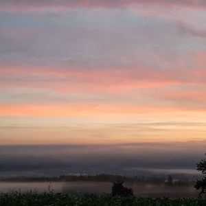 Scenic view of landscape against orange sky