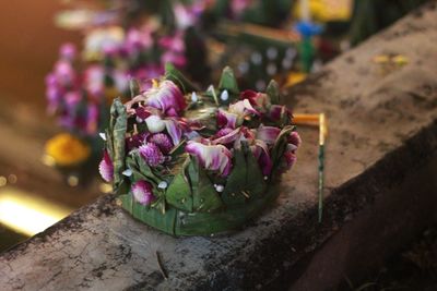 High angle view of pink flower on plant