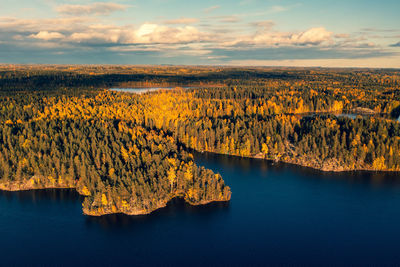 Autumn foliage colored trees, lake views and coast in heinola, finland