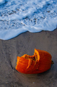 High angle view of pumpkin at beach