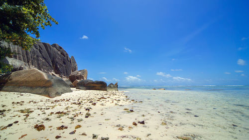 Scenic view of beach against blue sky