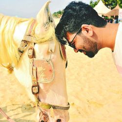 Side view of man playing with horse at beach