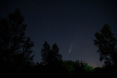 Comet neowise between trees view outside the city