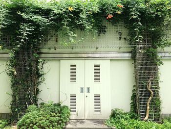 Closed door of house