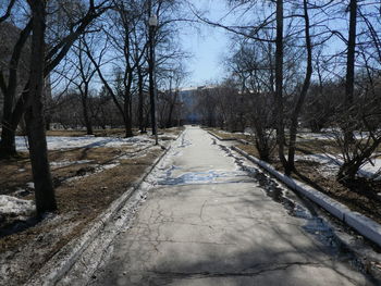 Road amidst bare trees during winter