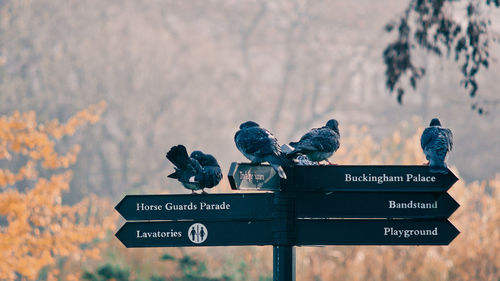 Information sign against the sky