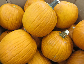 Full frame shot of pumpkins