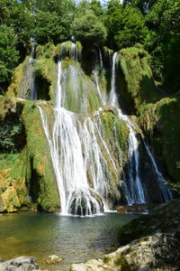 Scenic view of waterfall in forest