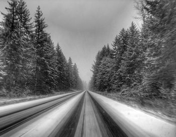 Road amidst trees against sky during winter