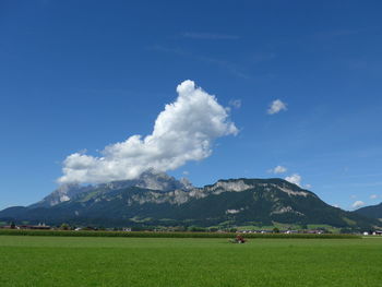 Scenic view of agricultural field against sky