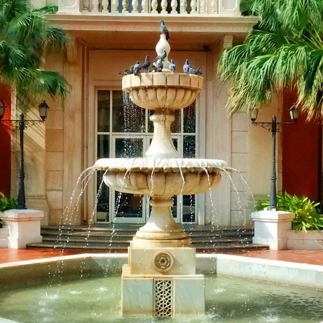 built structure, architecture, building exterior, fountain, sculpture, art and craft, animal representation, art, statue, tree, water, creativity, potted plant, palm tree, bird, swimming pool, house, no people, human representation, day