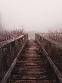 the way forward