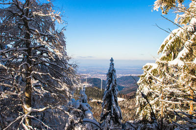 winter