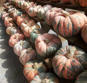 Full frame shot of vegetables