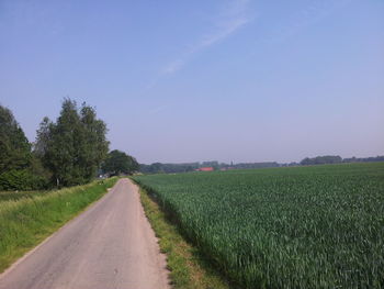 Scenic view of agricultural field against clear sky