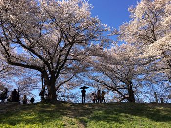 Tourists in park