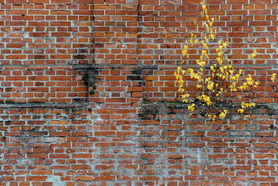 Full frame shot of brick wall