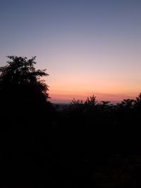 Silhouette trees against clear sky during sunset