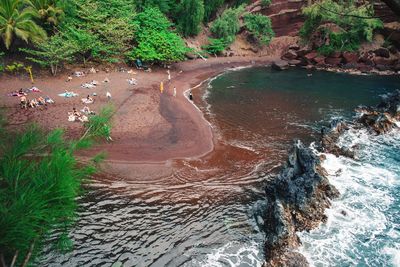 High angle view of birds in water