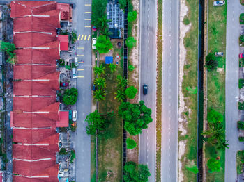 Aerial view of road by trees