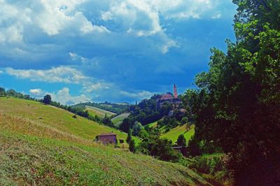 Trees and plants on field against sky