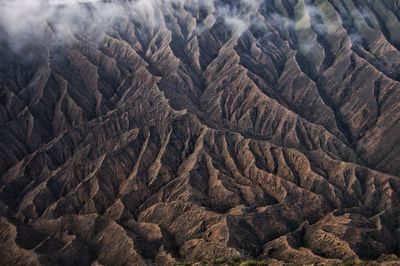 The exotic widodaren ridge in bromo tengger semeru national park