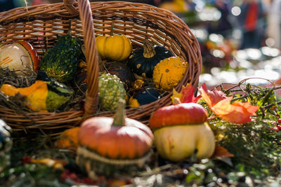 Close-up of vegetables in basket