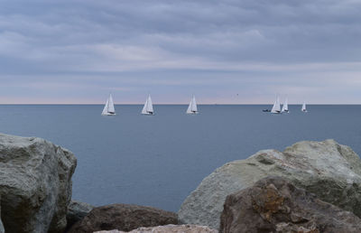 Sailboats sailing on sea against sky