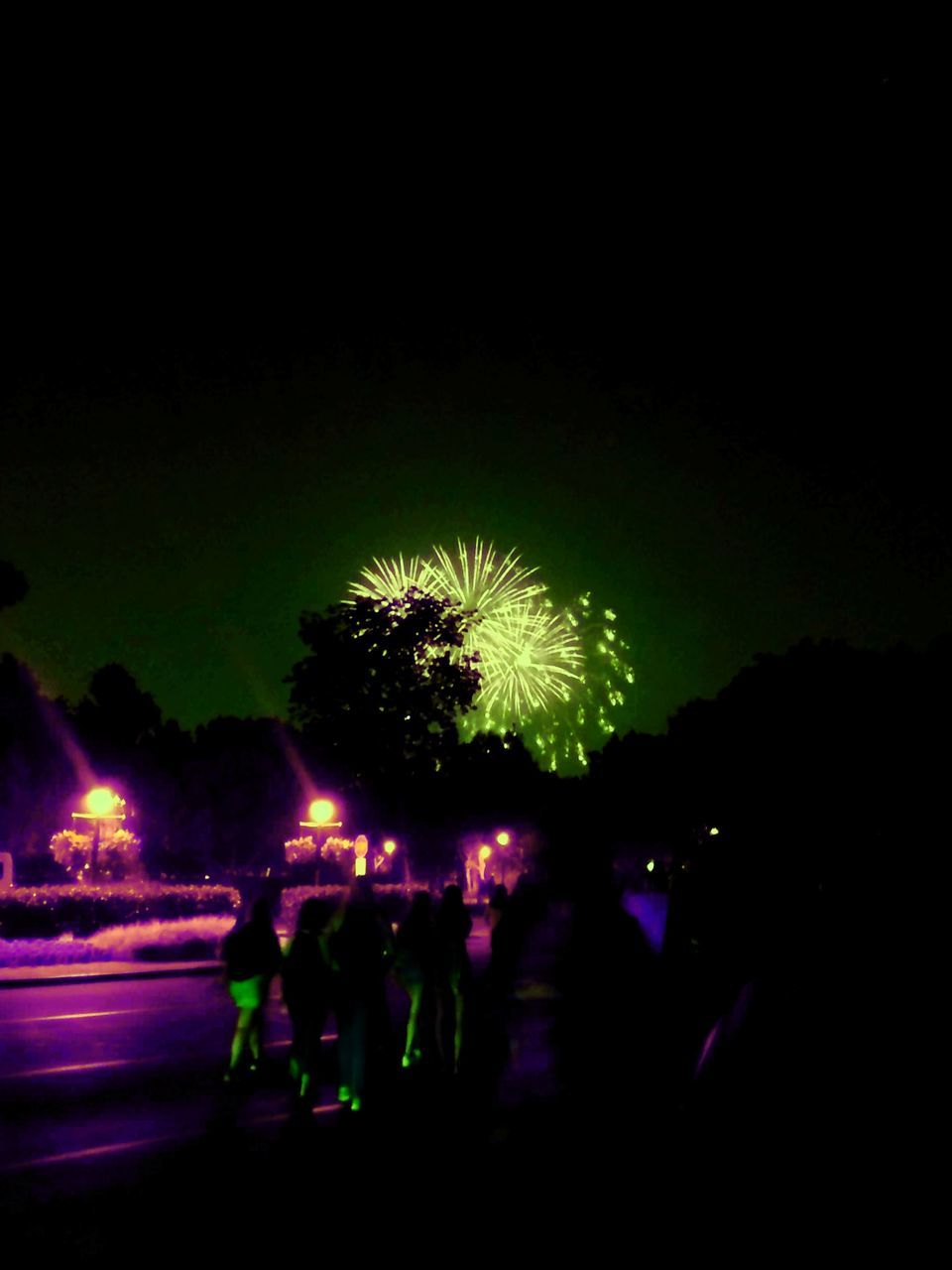 night, fireworks, illuminated, group of people, event, celebration, motion, arts culture and entertainment, firework display, darkness, silhouette, light, long exposure, nature, large group of people, recreation, crowd, men, glowing, sky, outdoors, exploding, dark, blurred motion, plant, enjoyment, tree