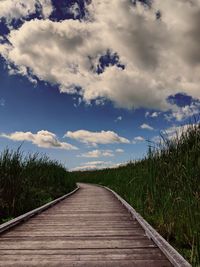 Empty road amidst plants on field against sky