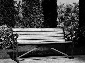 Empty bench in park