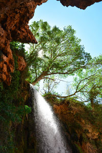 Low angle view of waterfall amidst trees in forest