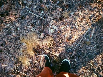 Low section of person standing in field