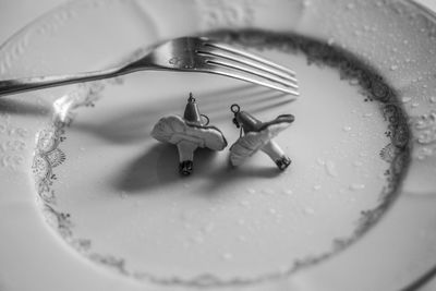 High angle view of insect in plate