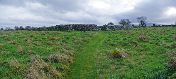 Scenic view of farm against sky