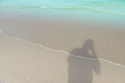 High angle view of woman on shore at beach