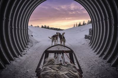 Snow covered landscape at sunset