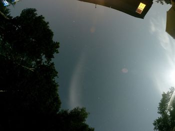 Low angle view of trees against sky