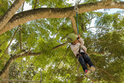 Low angle view of girl on zip line against tree