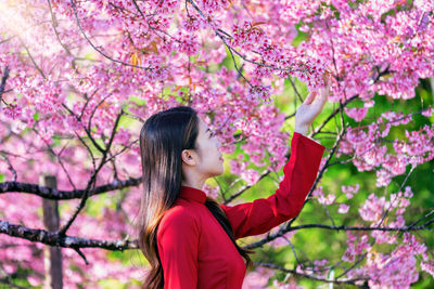 Woman looking at cherry blossom
