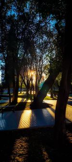 Silhouette trees in park against sky during sunset