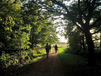 Rear view of people walking in forest