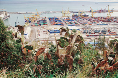 High angle view of people at beach