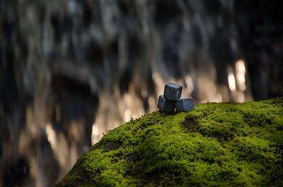 Close-up of rock